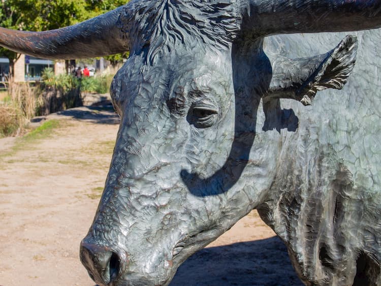 Cow statue in Pioneer Plaza