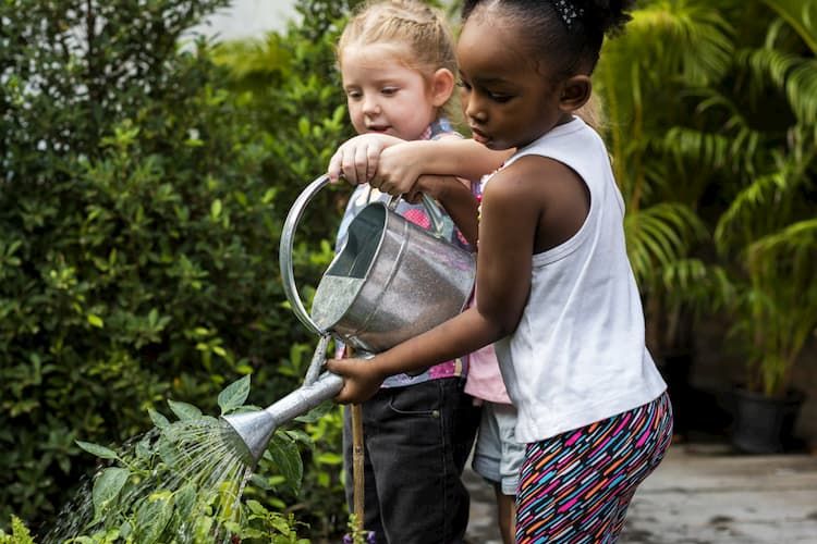 Two children using watering can to water flowers