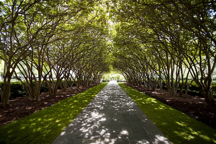 Dallas Arboretum shaded walkway