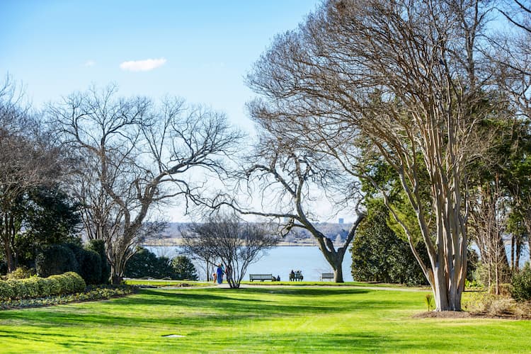 White Rock Lake near arboretum trees