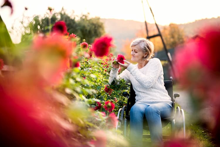 Woman looking at flowers from wheelchair