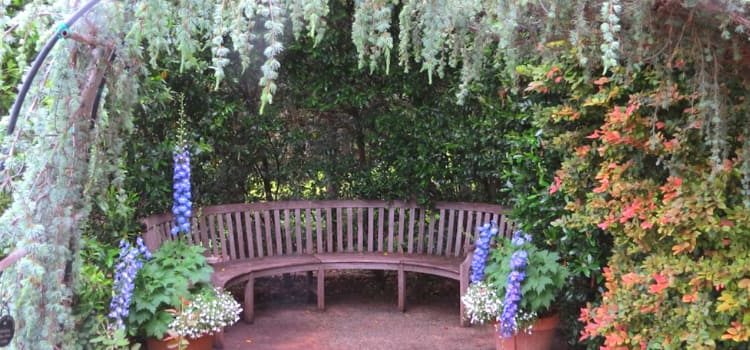 a bench surrounded by greenery at the dallas arboretum and botanical garden