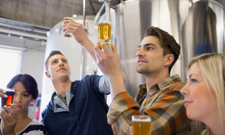 people inspecting beer on a brewery tour