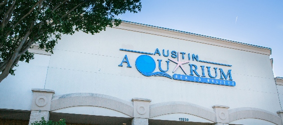 Austin Aquarium entrance and sign