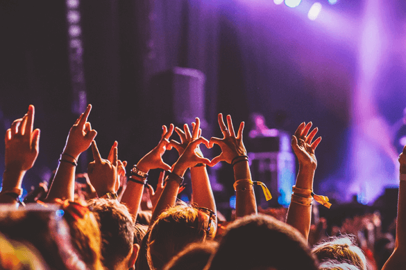 a crowd of people at a concert