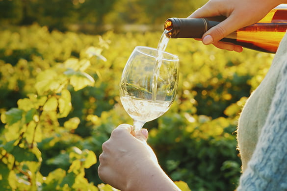A hand pours a glass of white wine at a vineyard