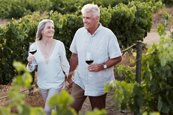 an older couple at a winery